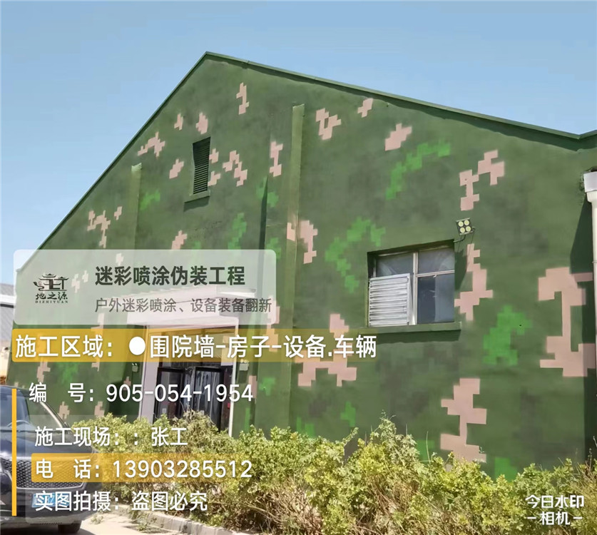 江苏外墙数码迷彩漆施工报价清单（100㎡标准墙面测算）